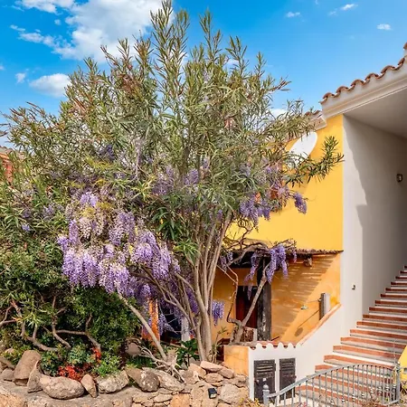 Il Glicine Apartment *